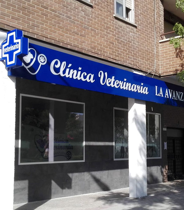 clínica veterinaria